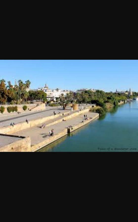Sweet Triana