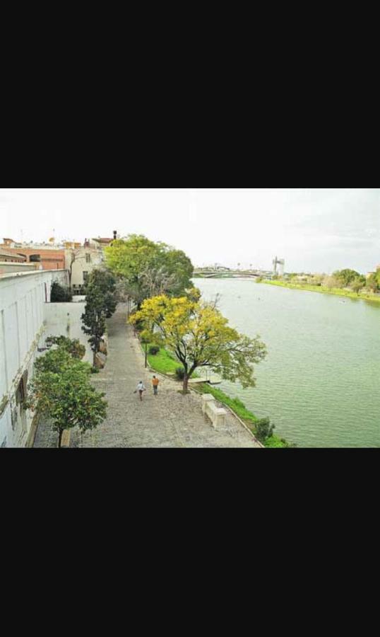 Sweet Triana *